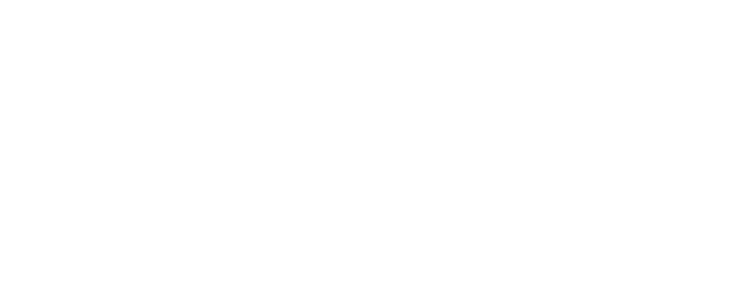 Stellantis - Financial Services